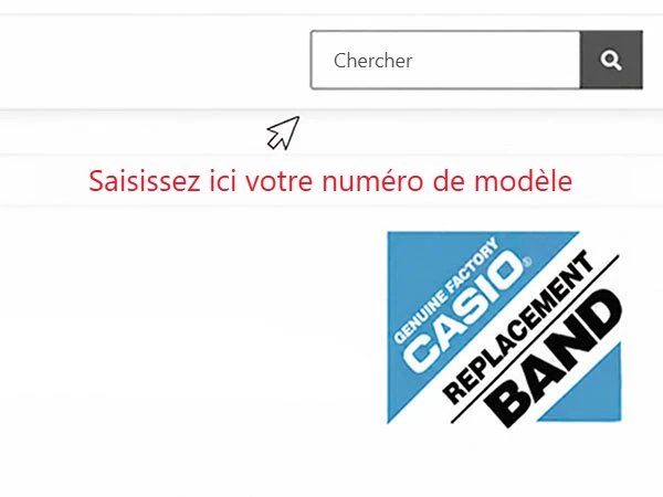 Champ de recherche de la boutique : saisir le numéro de modèle Casio