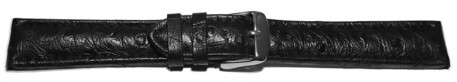 Bracelet-montre - Autruche véritable - noir 18mm Acier