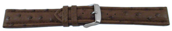 Bracelet de montre - Autruche véritable - marron foncé 24mm Acier