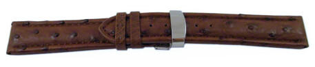 Bracelet de montre - Autruche véritable - marron foncé 22mm Acier