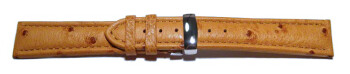 Bracelet de montre - Autruche véritable - beige 18mm Acier