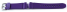 Bracelet de montre Casio violet p. BG-5600SA-6, BG-5600SA, BG-5600, résine brillante
