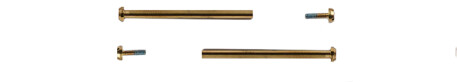 VIS Casio dorées pour la fixation des bracelets GMW-B5000GD-9 GMW-B5000TFG-9 GMW-B5000KL-9