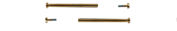 VIS Casio dorées pour la fixation des bracelets GMW-B5000TB-1 GMW-B5000TCM-1