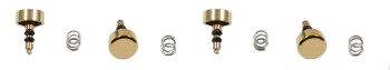 4 boutons Casio dorés pour GMW-B5000GD...