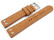 XL Bracelet de montre buffle deau à rivets brun clair
