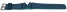 Bracelet Casio bleu marine intérieur turquoise pour DW-5600CC-2 en résine