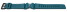 Bracelet de rechange Casio pour WS-1400H-3AV Résine turquoise