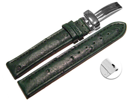 Bracelet de montre échange rapide Autruche...