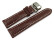 Boucle déployante papillon rembourrage épais croco marron foncé 19mm 21mm 23mm